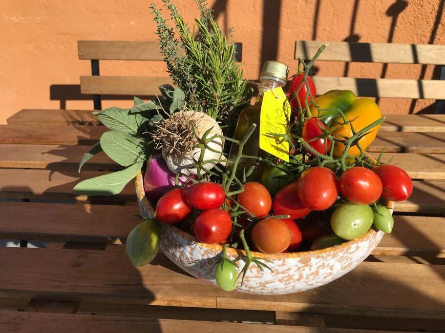 Agriturismo Il Sorbino - Appartamento Da Cocca Pian d'Alma Bagian luar foto