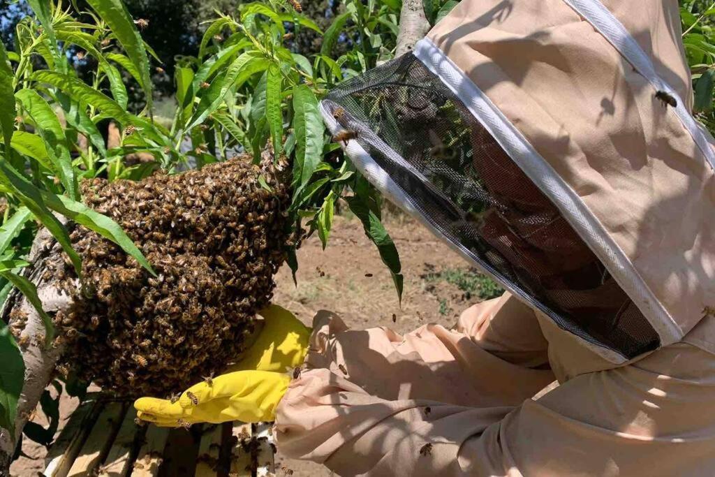 Agriturismo Il Sorbino - Appartamento Da Cocca Pian d'Alma Bagian luar foto