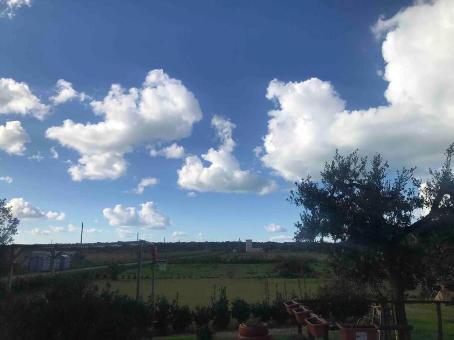 Agriturismo Il Sorbino - Appartamento Da Cocca Pian d'Alma Bagian luar foto