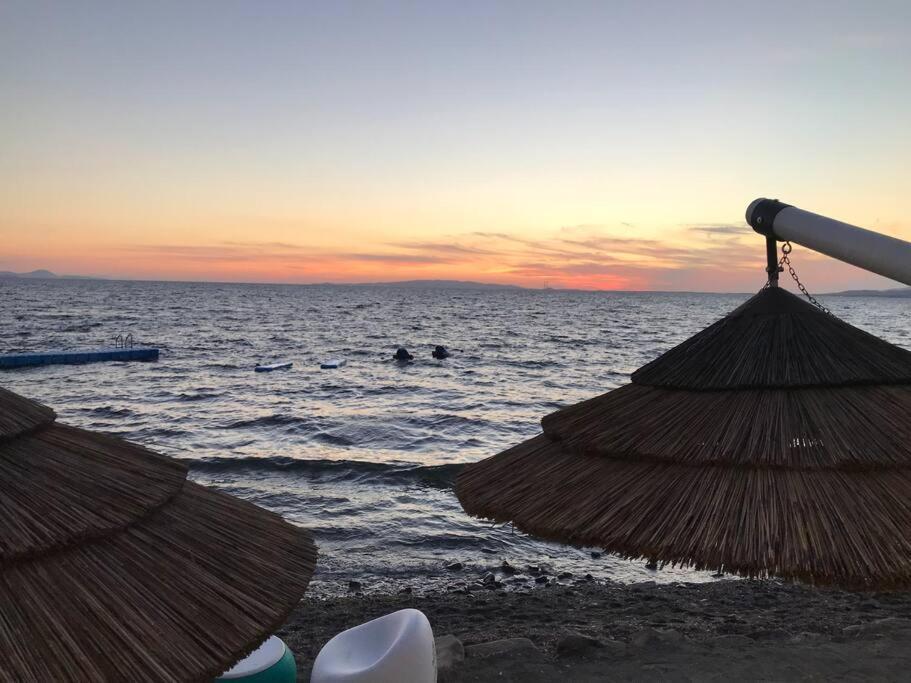 Agriturismo Il Sorbino - Appartamento Da Cocca Pian d'Alma Bagian luar foto