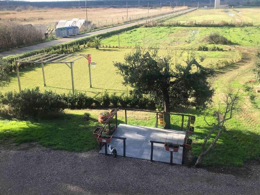 Agriturismo Il Sorbino - Appartamento Da Cocca Pian d'Alma Bagian luar foto